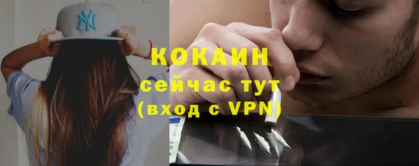 ECSTASY Пересвет