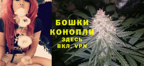 ECSTASY Пересвет