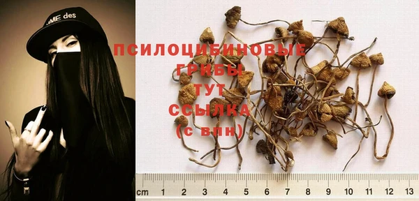 ECSTASY Пересвет