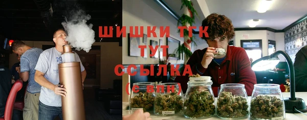 прущие крисы Арсеньев