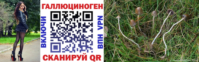 Псилоцибиновые грибы ЛСД  Валдай 