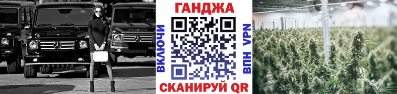Бошки марихуана Amnesia  Валдай 